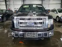 2013 Ford F-150 фото
