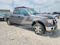 2013 Ford F-150 photo