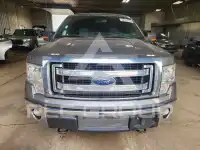 2013 Ford F-150 photo