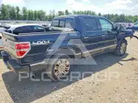 2013 Ford F-150 photo