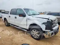2013 Ford F-150 photo