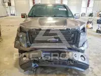 2013 Ford F-150 фото