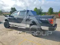 2013 Ford F-150 photo