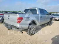 2013 Ford F-150 фото