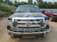 2013 Ford F-150 photo
