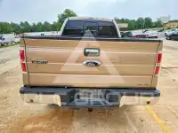 2013 Ford F-150 фото