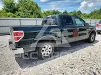 2013 Ford F-150 photo