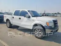 2013 Ford F-150 photo