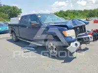2013 Ford F-150 photo