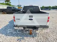 2013 Ford F-150 photo