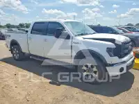 2013 Ford F-150 photo