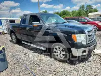 2013 Ford F-150 фото