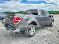 2013 Ford F-150 фото
