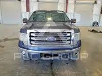 2013 Ford F-150 фото