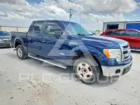 2013 Ford F-150 photo