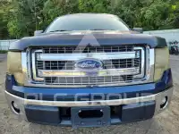 2013 Ford F-150 фото