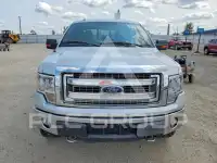 2013 Ford F-150 фото