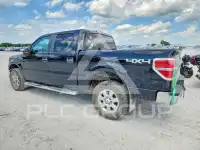 2013 Ford F-150 фото