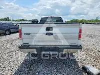 2013 Ford F-150 photo