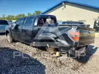 2013 Ford F-150 photo