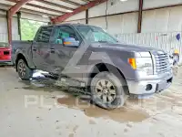 2013 Ford F-150 фото