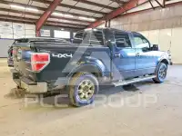 2013 Ford F-150 фото
