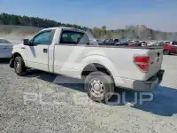 2013 Ford F-150 photo