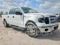 2013 Ford F-150 фото