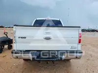 2013 Ford F-150 photo