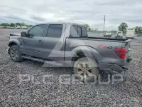 2013 Ford F-150 photo