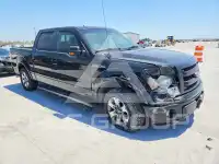 2013 Ford F-150 photo