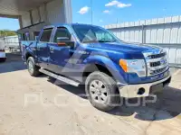 2013 Ford F-150 photo