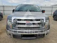 2013 Ford F-150 фото