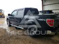 2013 Ford F-150 photo