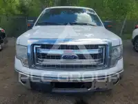 2013 Ford F-150 photo