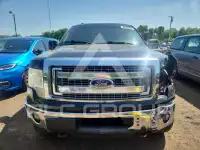 2013 Ford F-150 photo