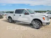 2013 Ford F-150 photo