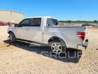 2013 Ford F-150 фото