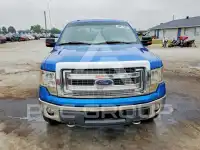 2013 Ford F-150 фото
