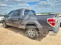 2013 Ford F-150 фото