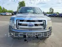 2013 Ford F-150 photo