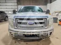 2013 Ford F-150 фото