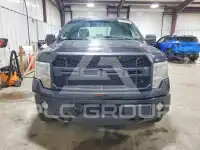 2013 Ford F-150 photo