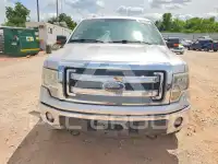 2013 Ford F-150 фото