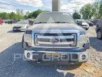 2013 Ford F-150 фото