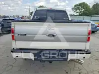 2013 Ford F-150 photo
