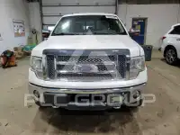 2013 Ford F-150 photo