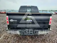 2013 Ford F-150 photo