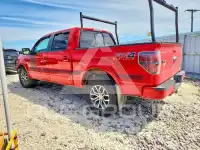 2013 Ford F-150 фото