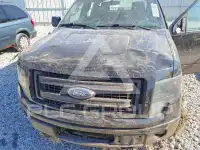 2013 Ford F-150 фото
